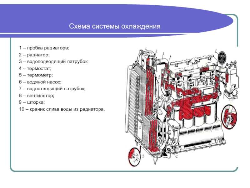 Проверка уровней жидкостей