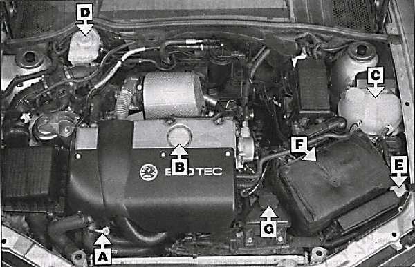 Opel vectra b — все предохранители и реле