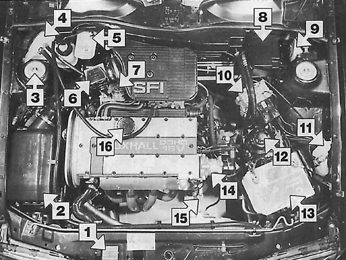 Opel vectra b — все предохранители и реле