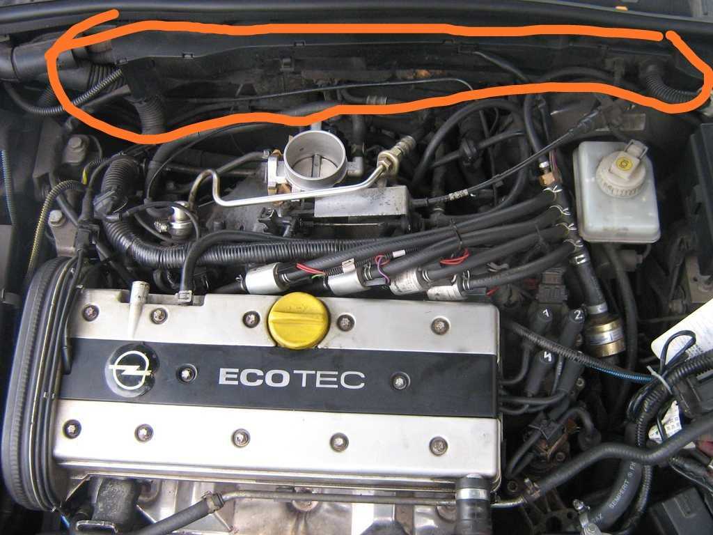 Двигатель опель вектра б 2.0. Опель Вектра x20xev. Опель Вектра б 1.6 8 клапанный. 1,8 Мотор на опеле Вектра. Двигатель Opel x20xev.